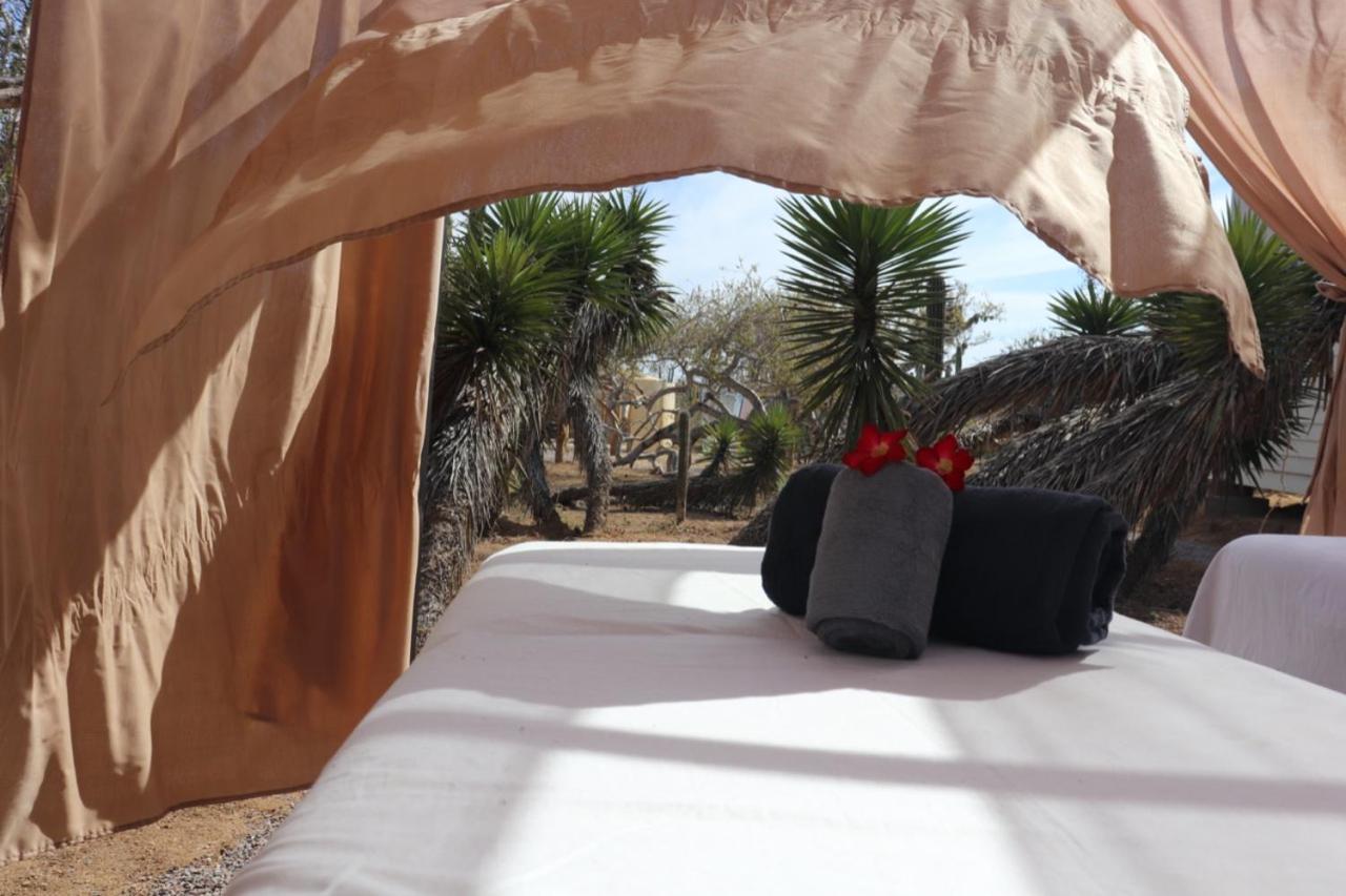 Experience Aparthotel El Cardonal Exterior photo