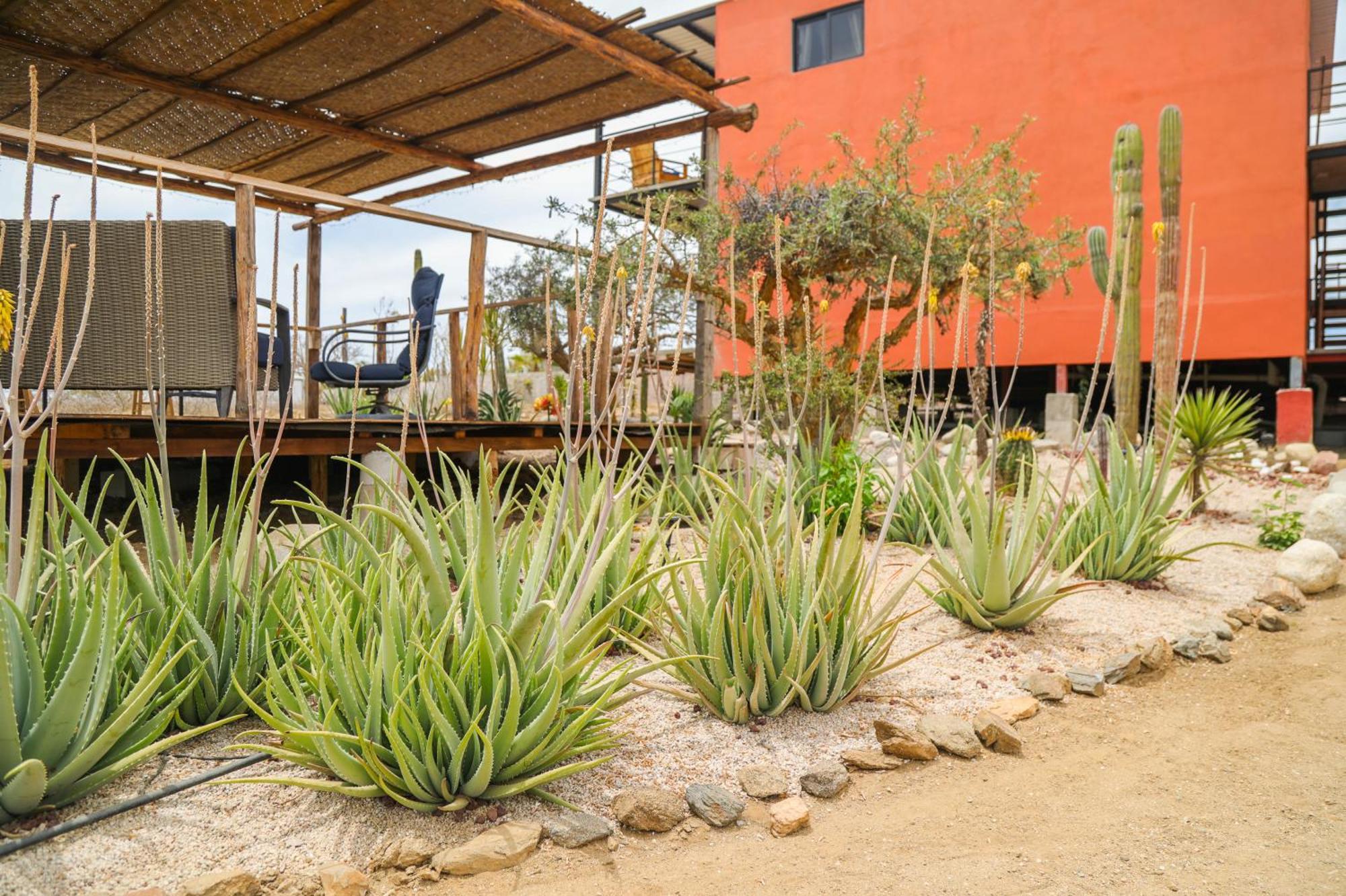 Experience Aparthotel El Cardonal Exterior photo